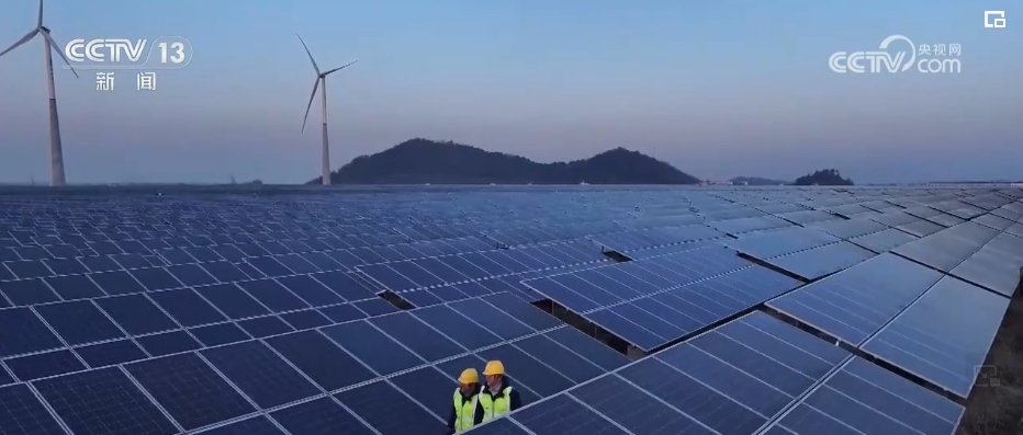 �й�����������-�ٷ���վ