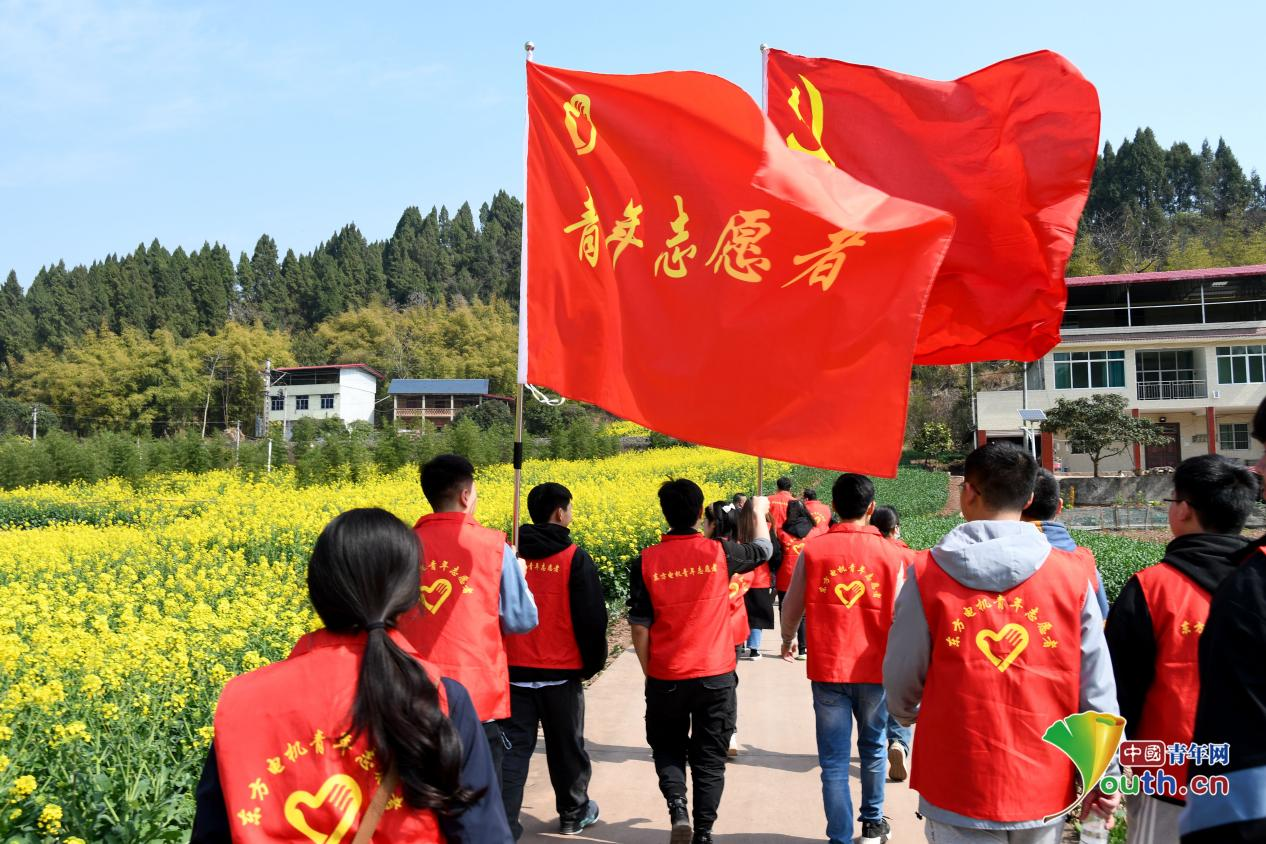 �й�����������-�ٷ���վ