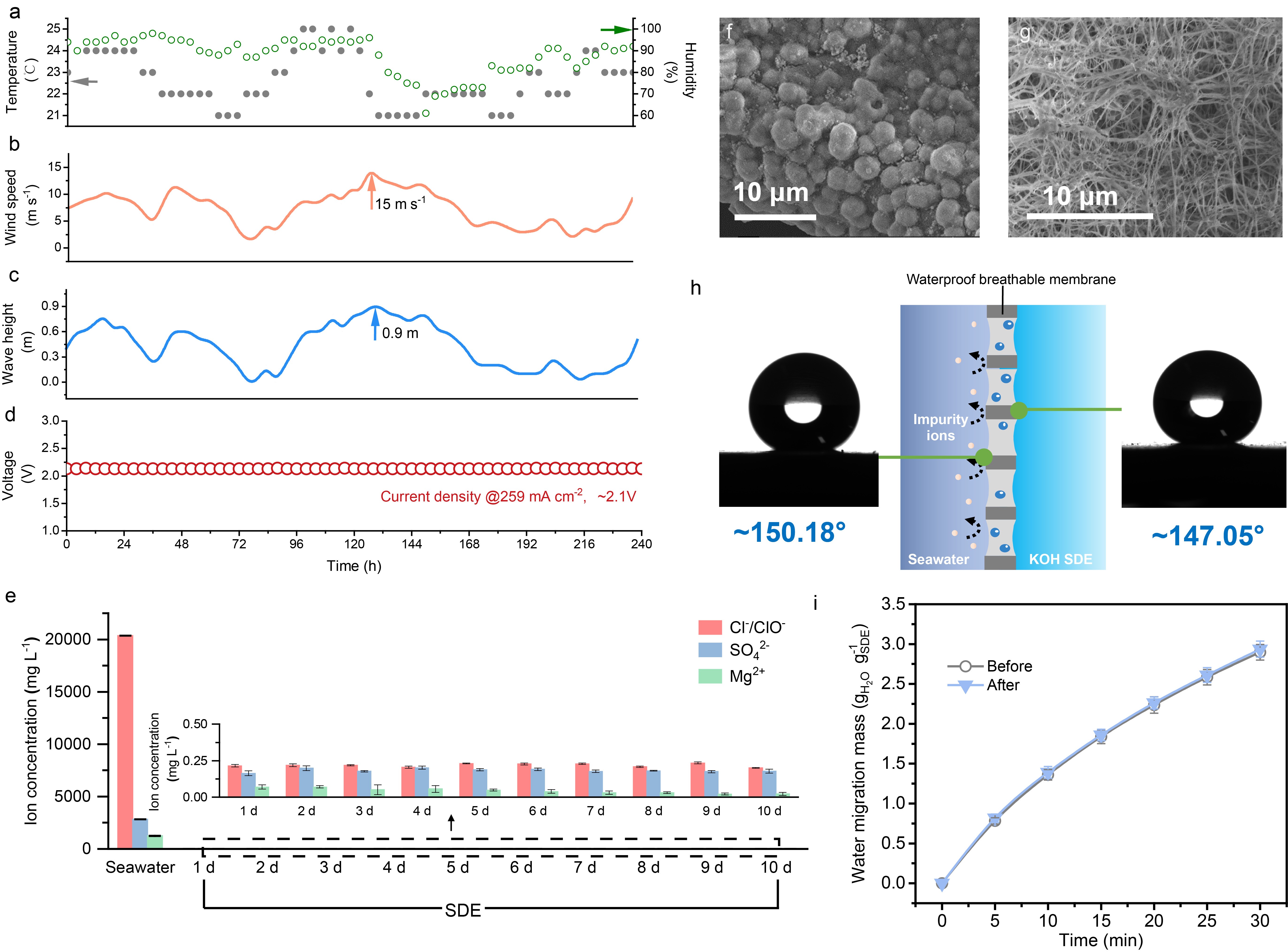 �й�����������-�ٷ���վ