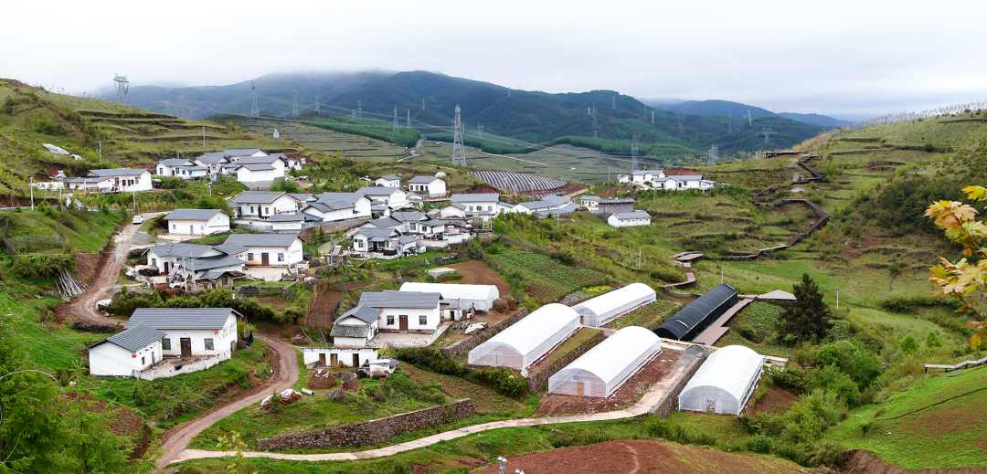 �й�����������-�ٷ���վ