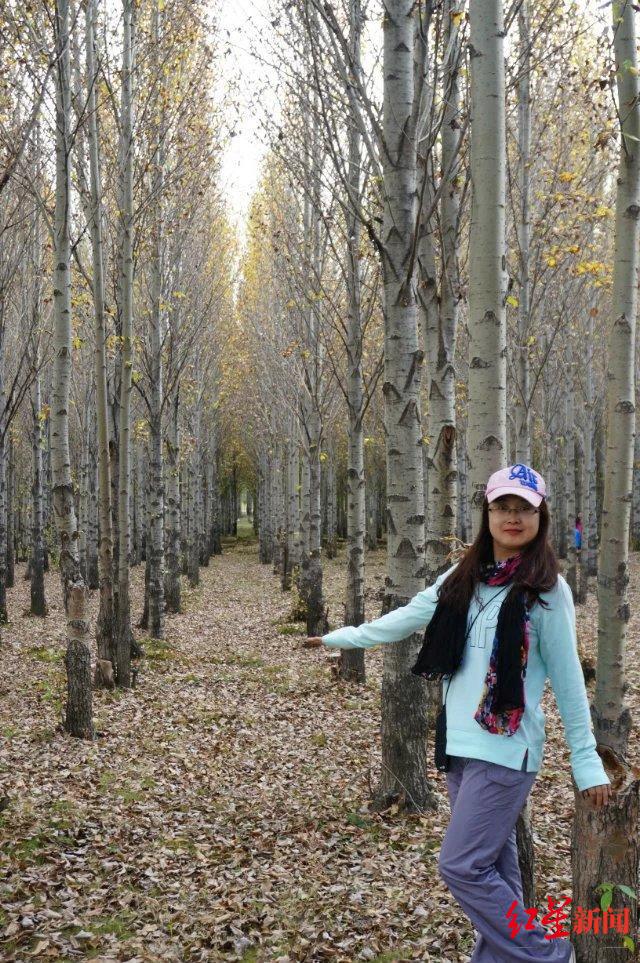 ��ɶ�����δ�� | �ɶ���������ҵ��Ȧǿ���˲����롱��ѡ�߶��ȣ�12���ᴺ��ͬ���ǡ�����