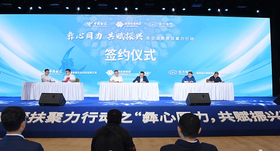 �й�����������-�ٷ���վ