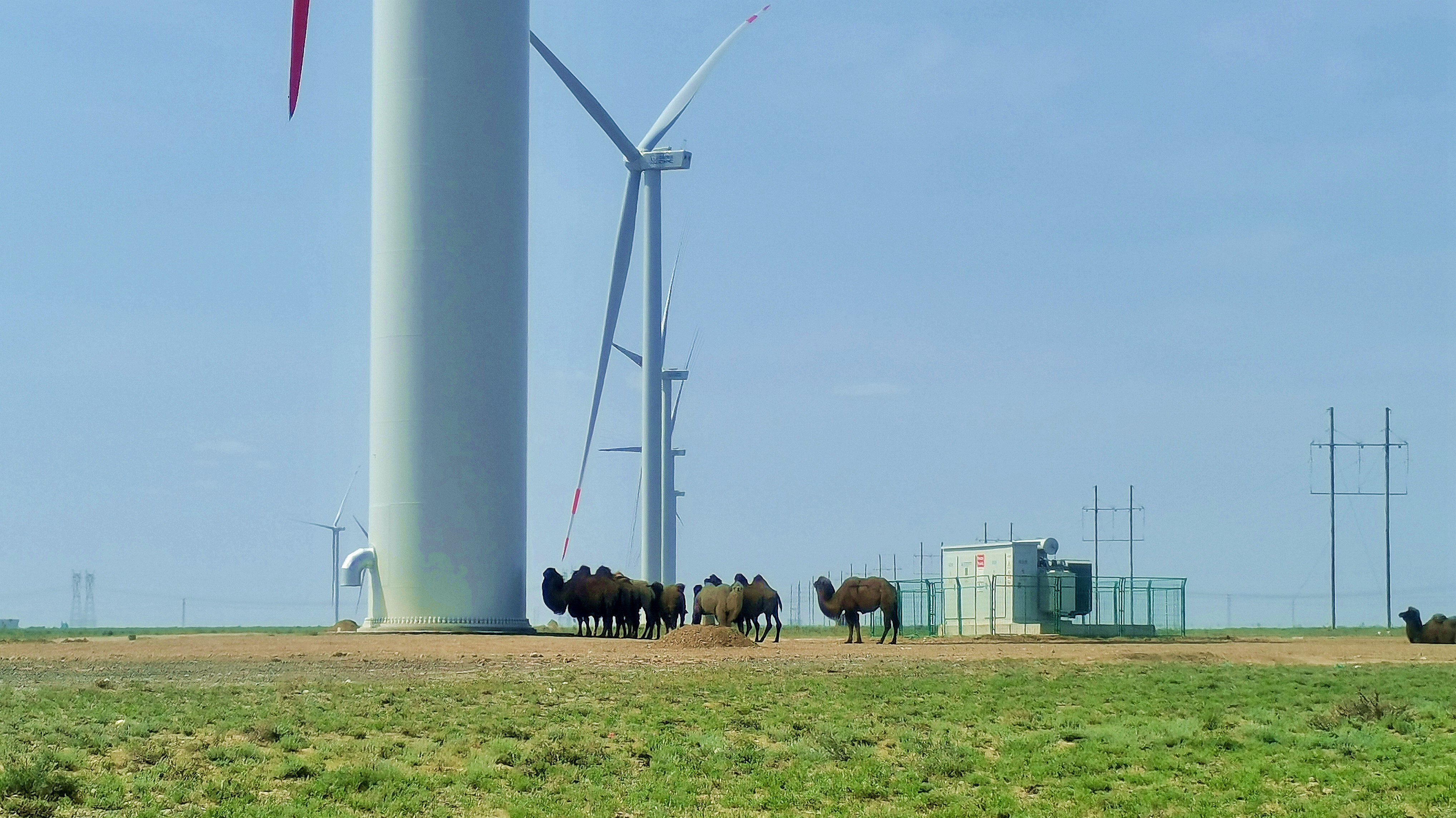 �й�����������-�ٷ���վ