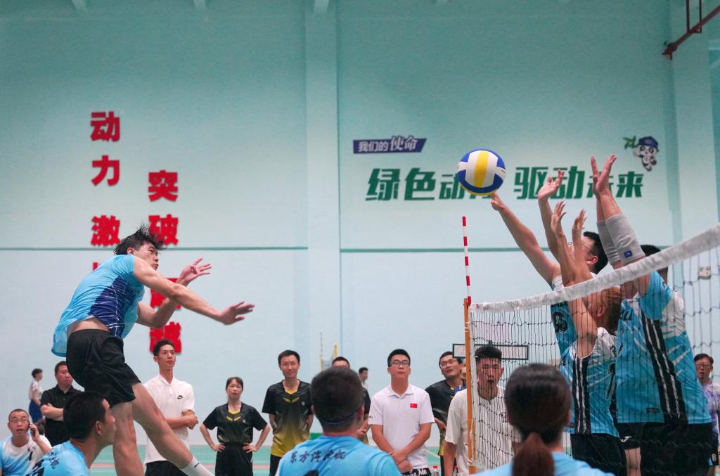 �й�����������-�ٷ���վ