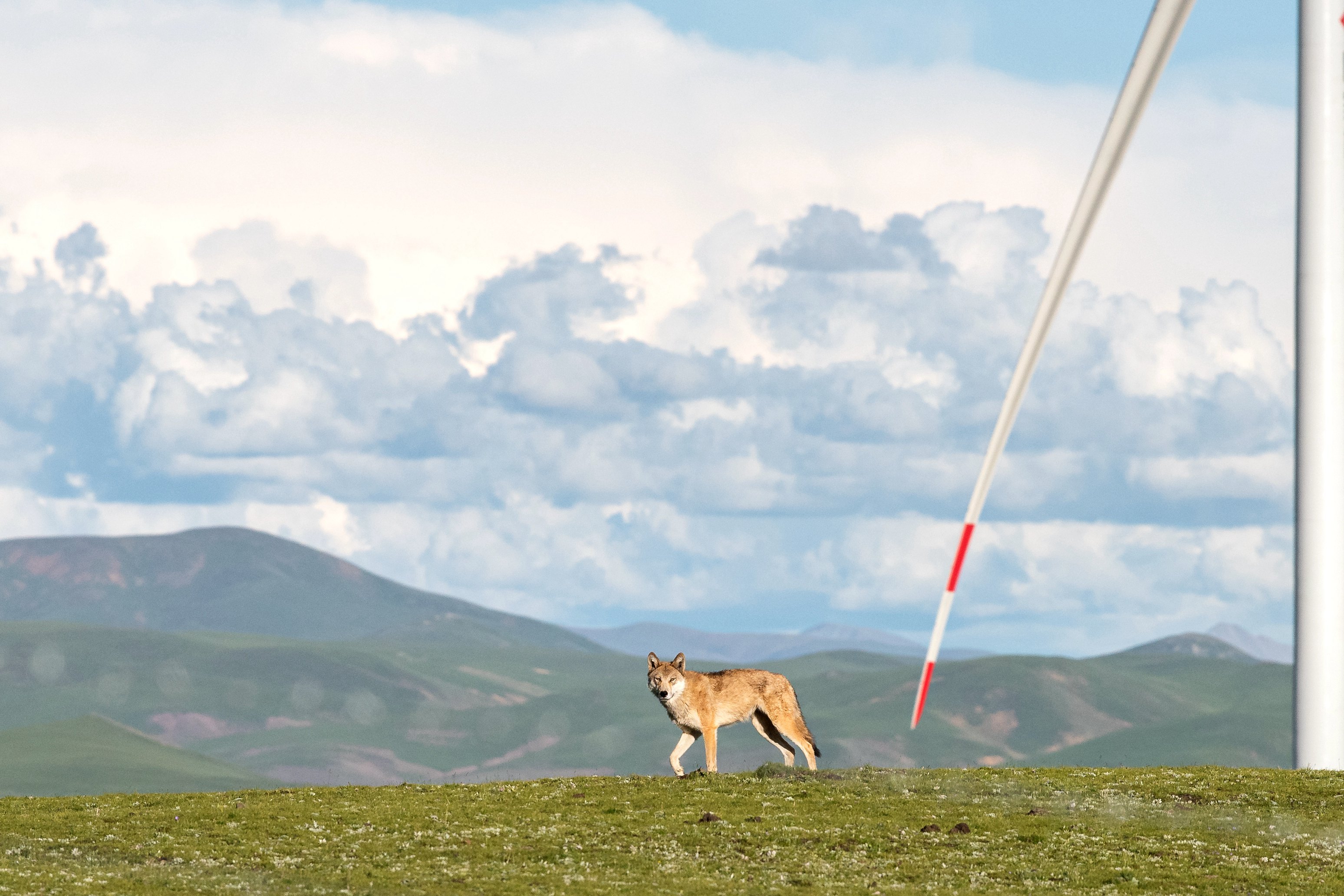 �й�����������-�ٷ���վ