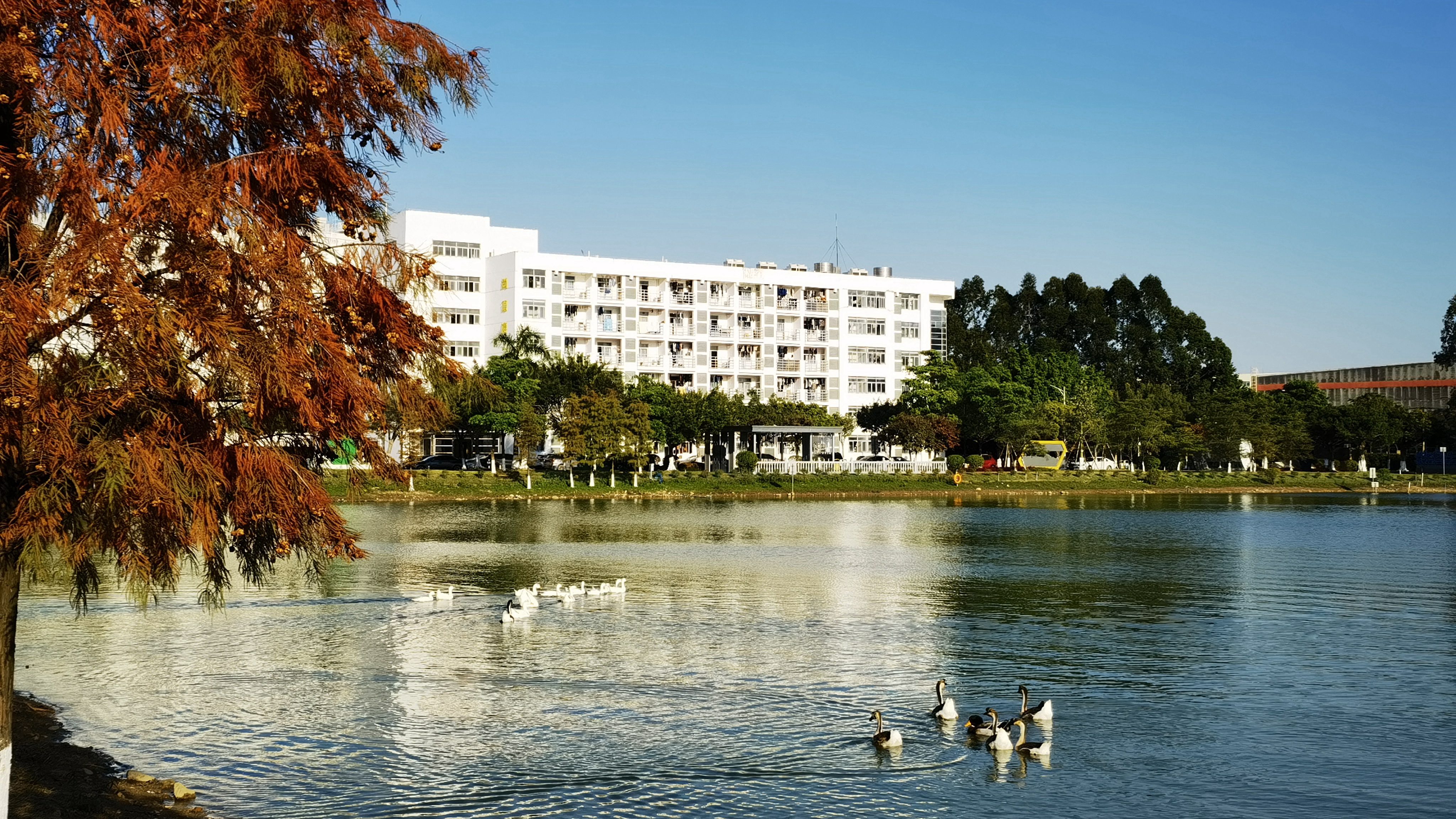 �й�����������-�ٷ���վ