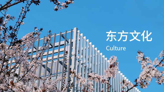 �й�����������-�ٷ���վ