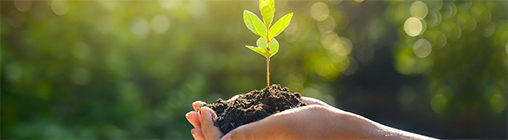 �й�����������-�ٷ���վ