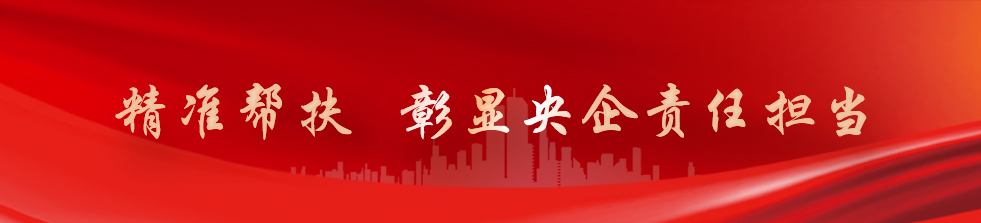 �й�����������-�ٷ���վ